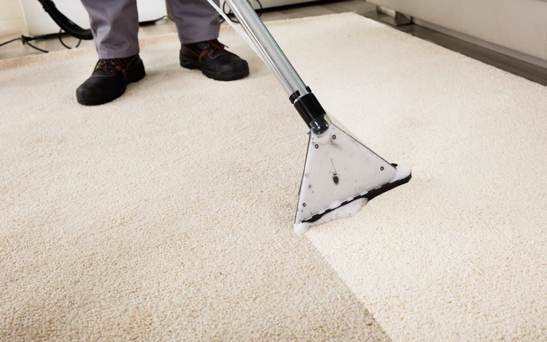carpet cleaning white